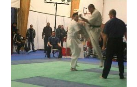 ShinKyokushinkai Open de Prémesques 2010