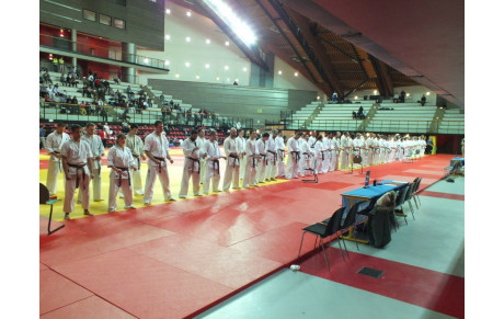 COUPE DE FRANCE KYOKUSHINKAI 2013