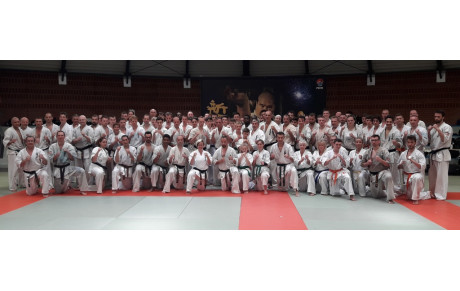 2018 - Séminaire Sensei Dimitrov/Polemino