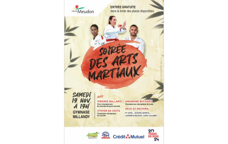 Gala des arts martiaux